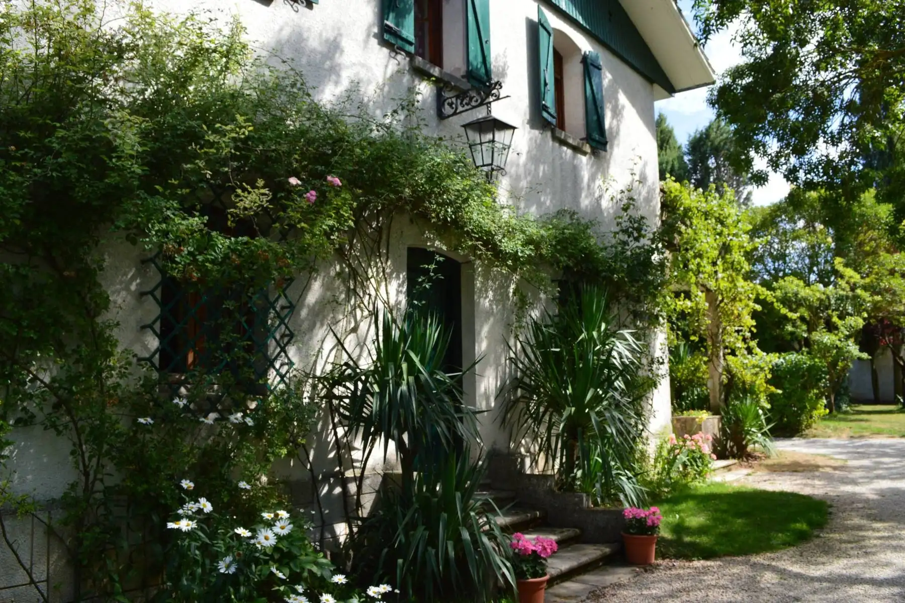 La fachada de la casa cubierta de rosales y enredaderas, con la puerta verde entre palmeras y un camino de grava