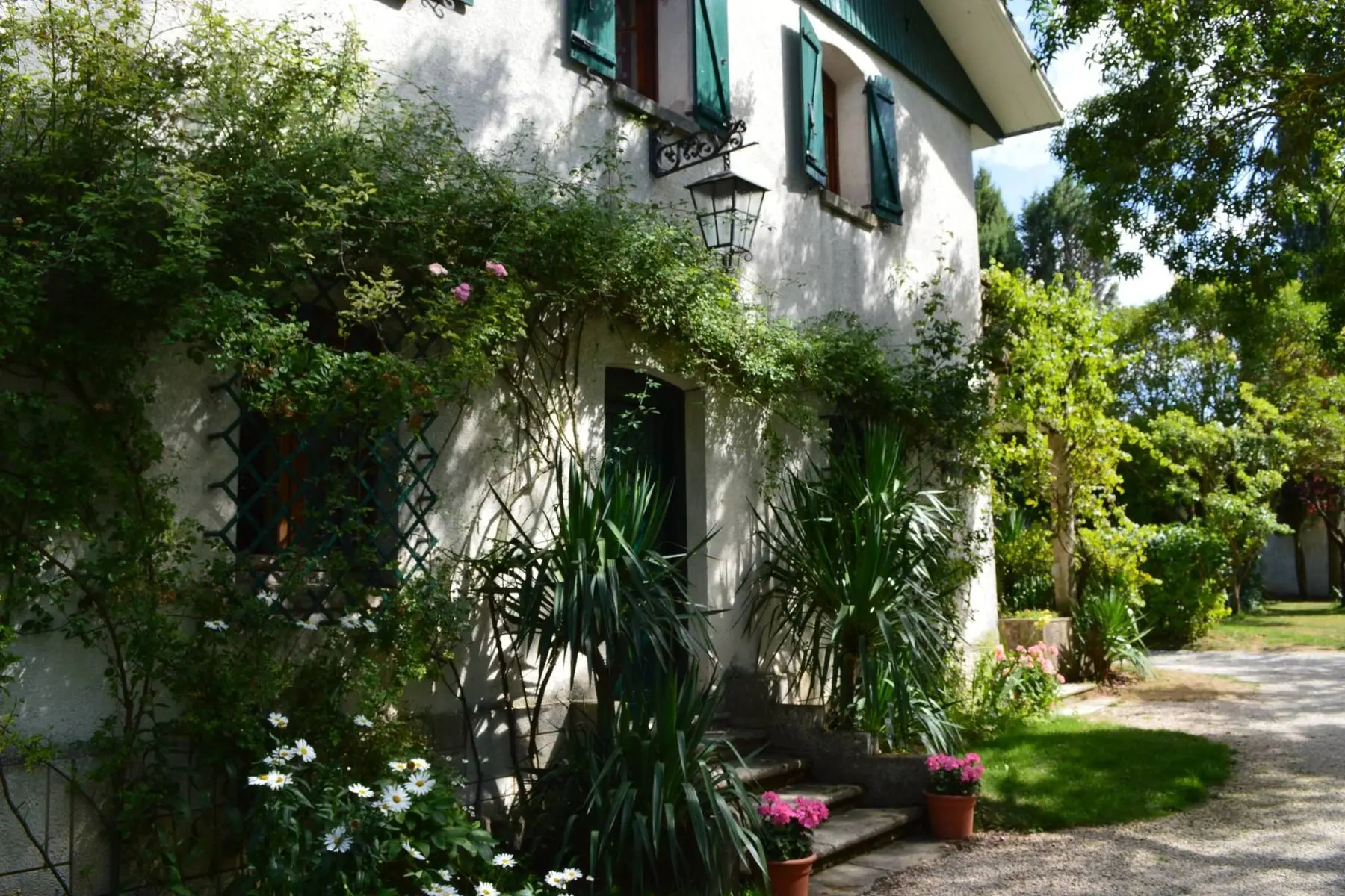La fachada de la casa cubierta de rosales y enredaderas, con la puerta verde entre palmeras y un camino de grava